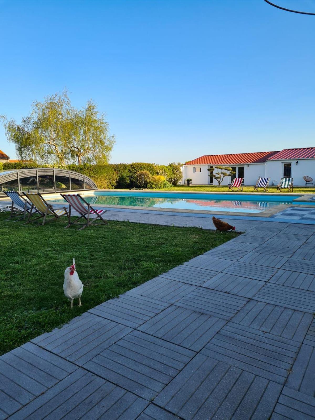 Ty Grain De Sel : Logement Privatif Avec Piscine, Jardin Et Patio Chauvé Zewnętrze zdjęcie